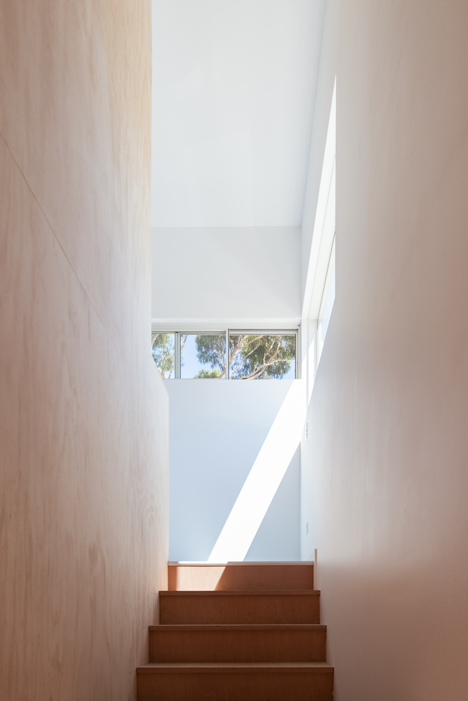 澳大利亚汉密尔顿山可持续住宅设计（Erpingham）-42