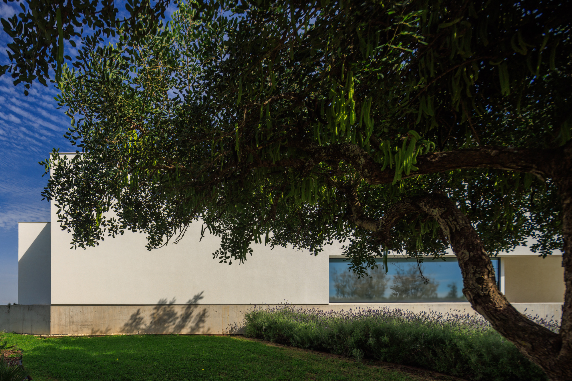 丨葡萄牙丨Mário Martins Atelier-33