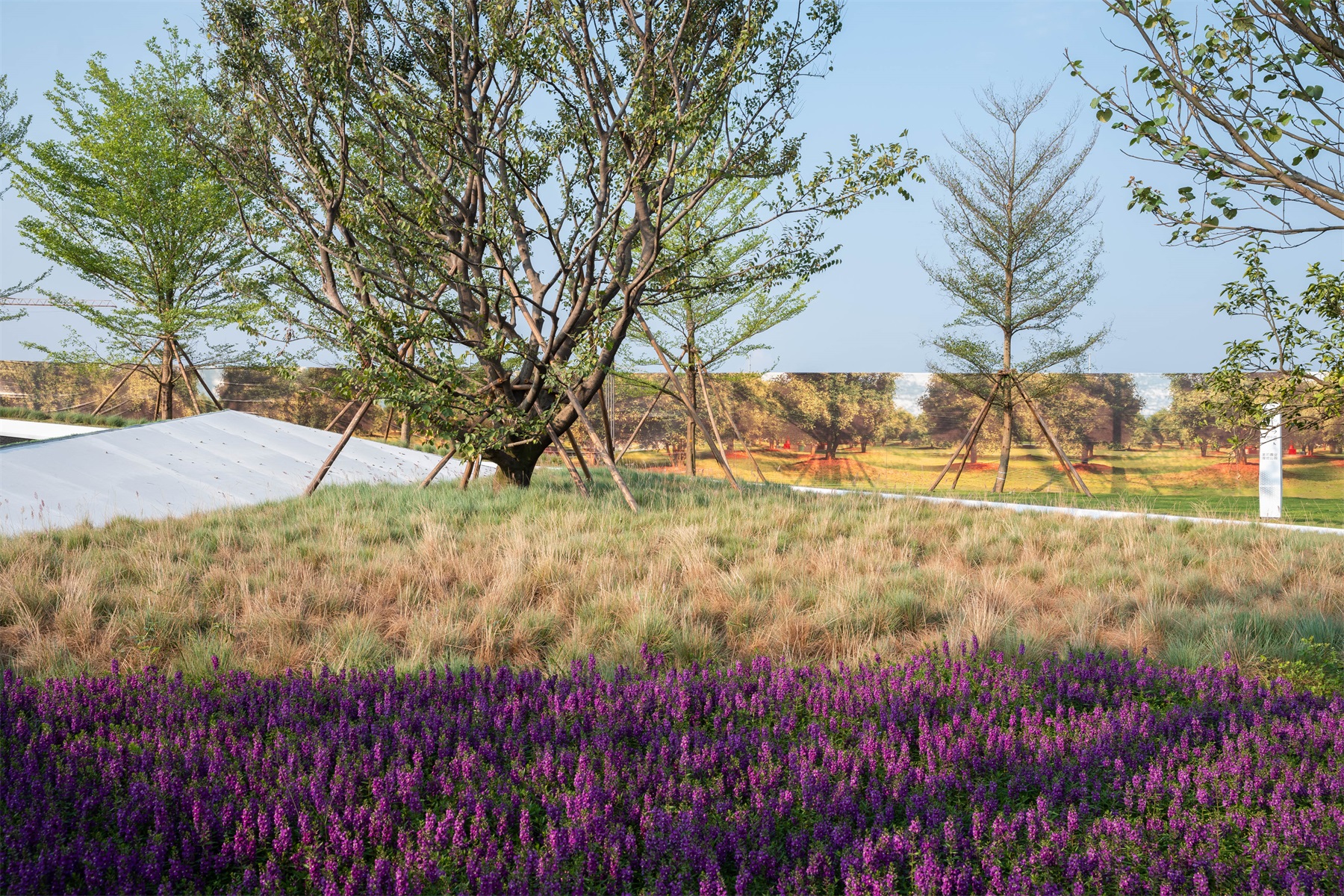 美的·未来中心丨中国阳江-79