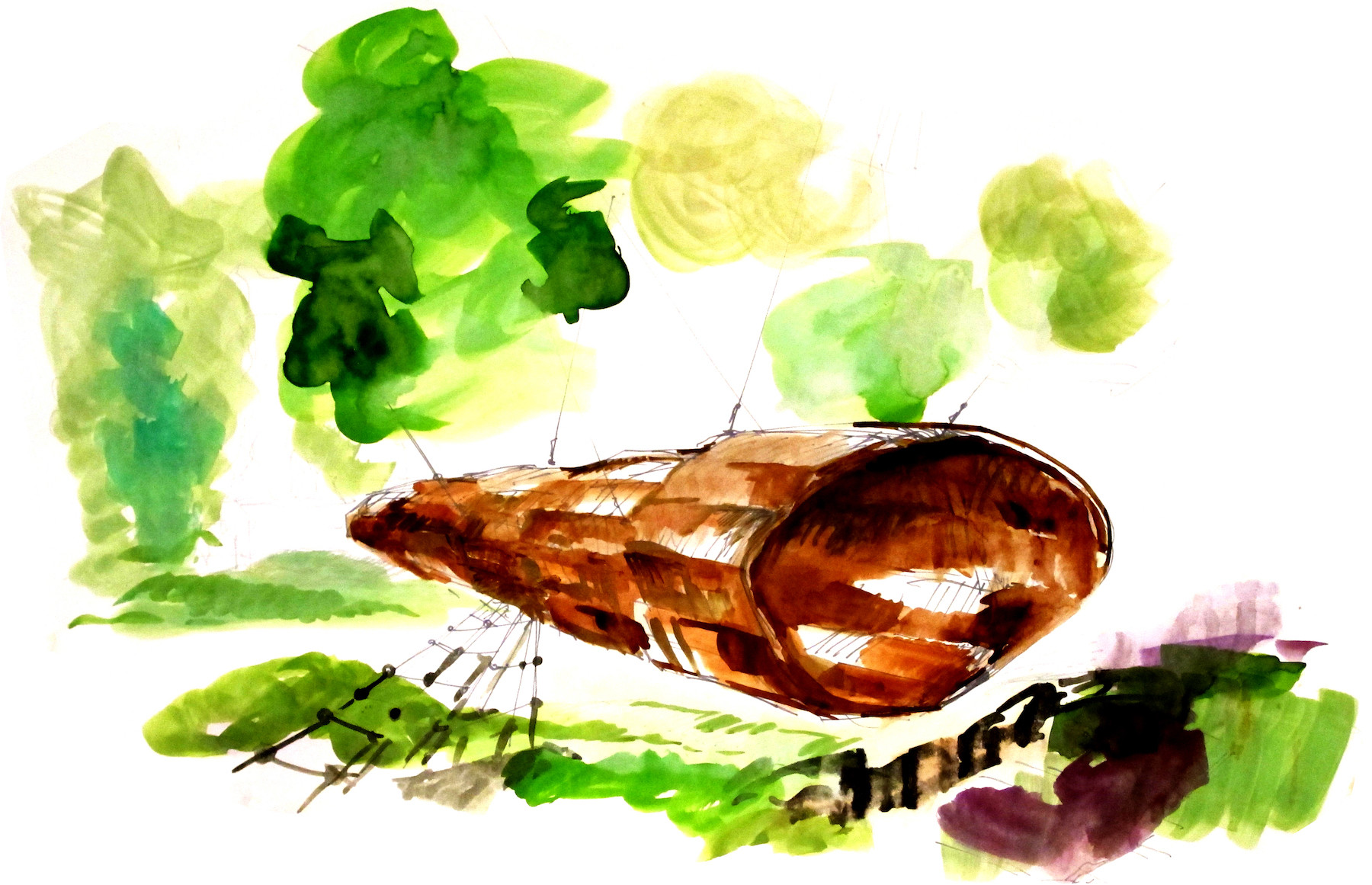 Herní krajina Pecka（佩卡游乐场地）-134