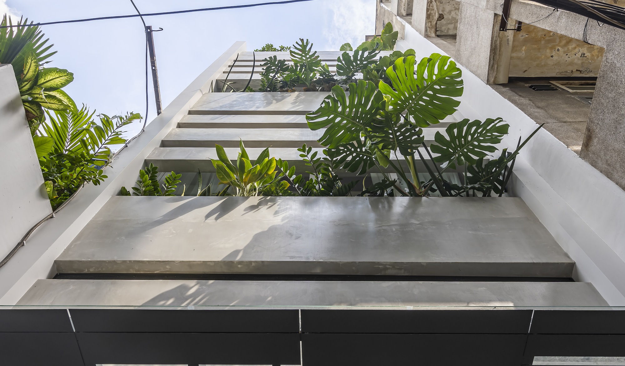 自然窗帘屋丨越南胡志明市丨Sense Design Studio-12