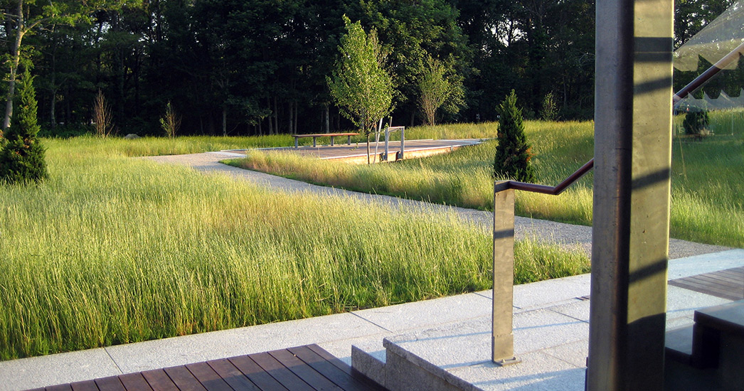 国际野生动物保护区基金会景观恢复项目丨IFAW-5