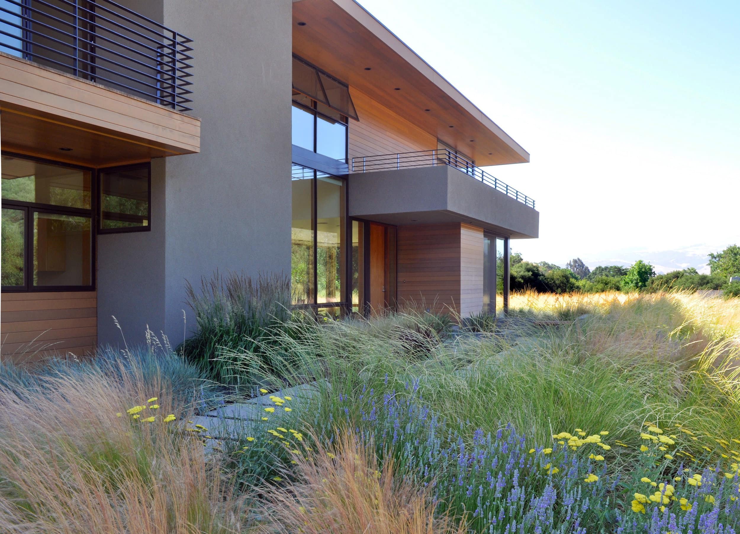 Sunol住宅景观设计丨美国-6