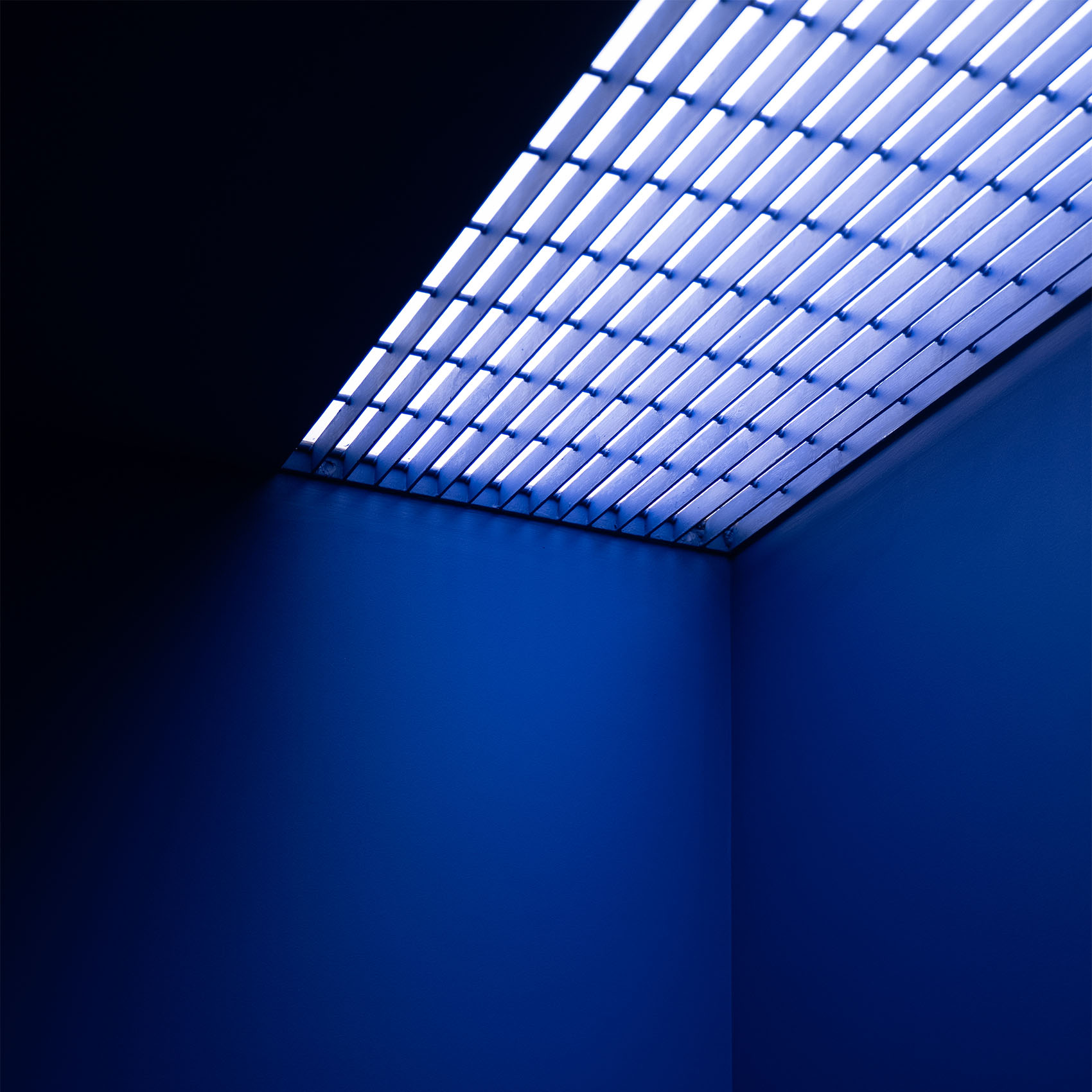 Rosso聆听酒吧丨墨西哥墨西哥城丨Naso-22