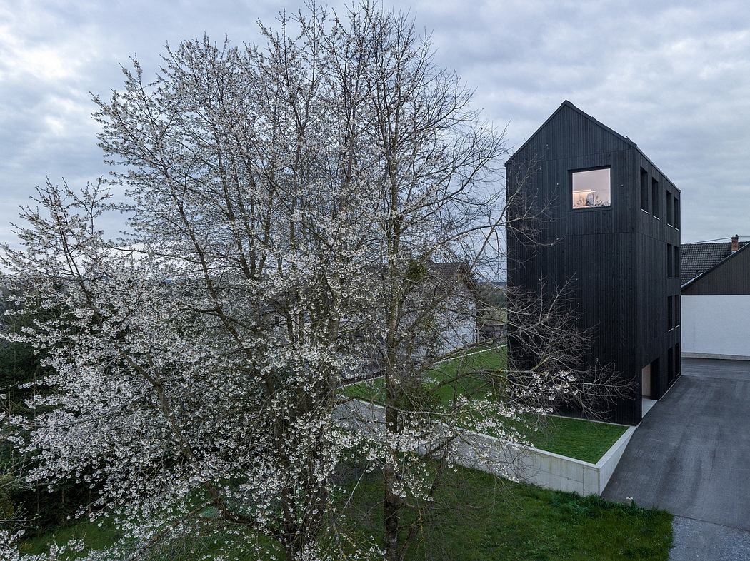 高黑屋丨奥地利丨SLP Architekten-9