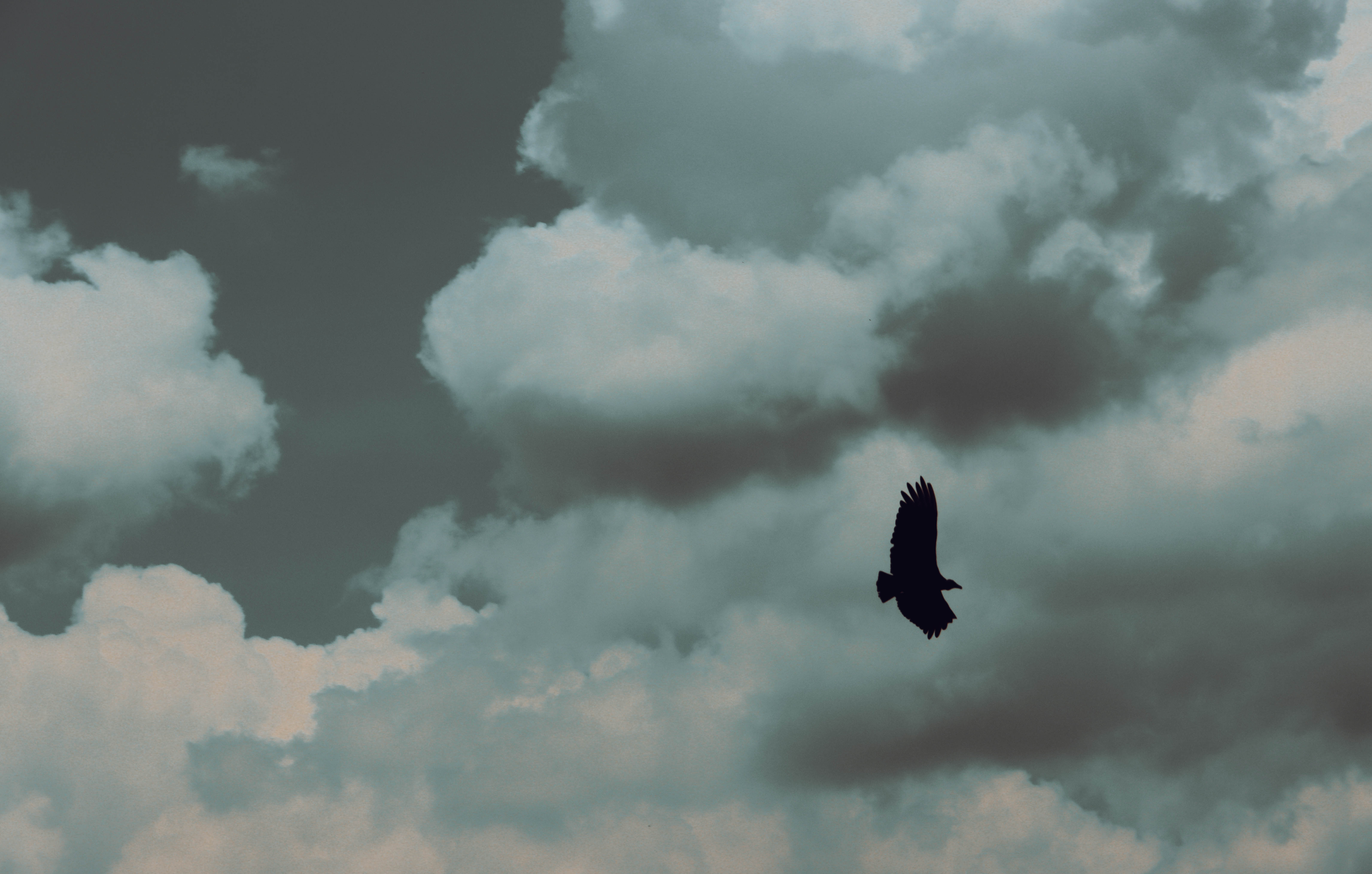 CIELO GRIS - MEDELLIN #2-6