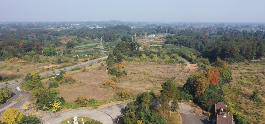 四周PROJECTS|成都马术中心-32