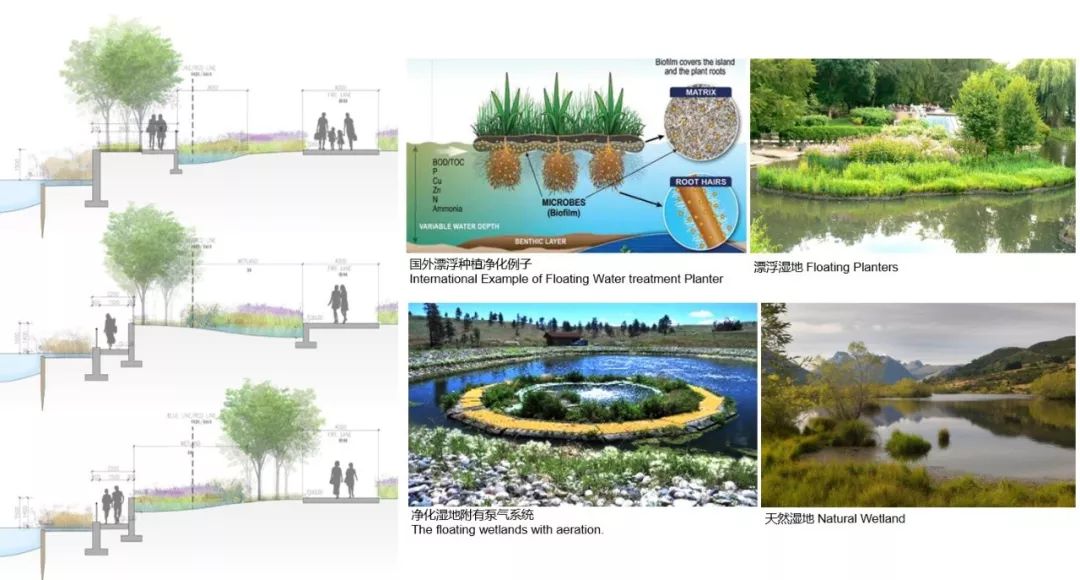 华鑫天地一期 | 建筑与景观的生态融合-36