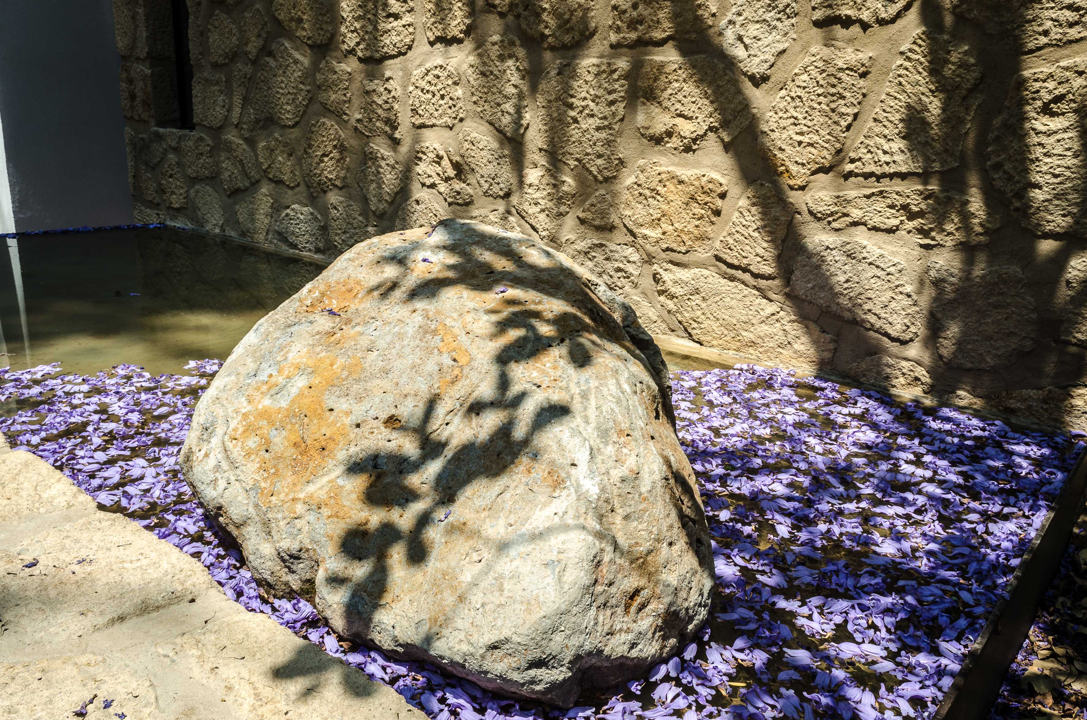 卡萨基埃塔 12 号住宅 | 自然与设计的和谐交融-42