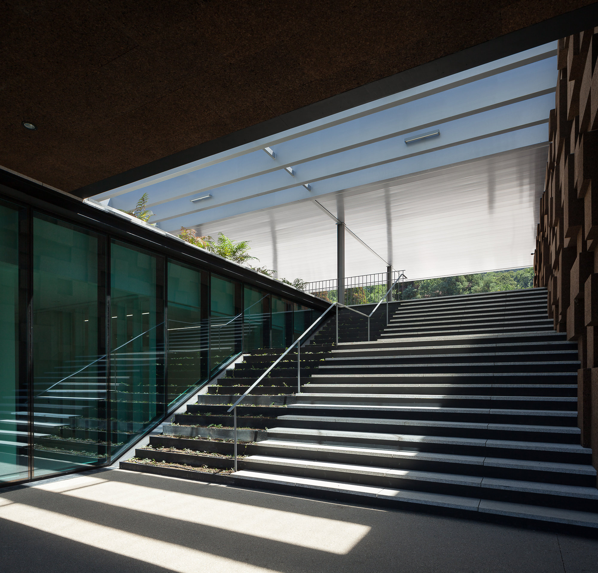 体育馆丨GymnasticsTrainingCenterofGuimarães-17