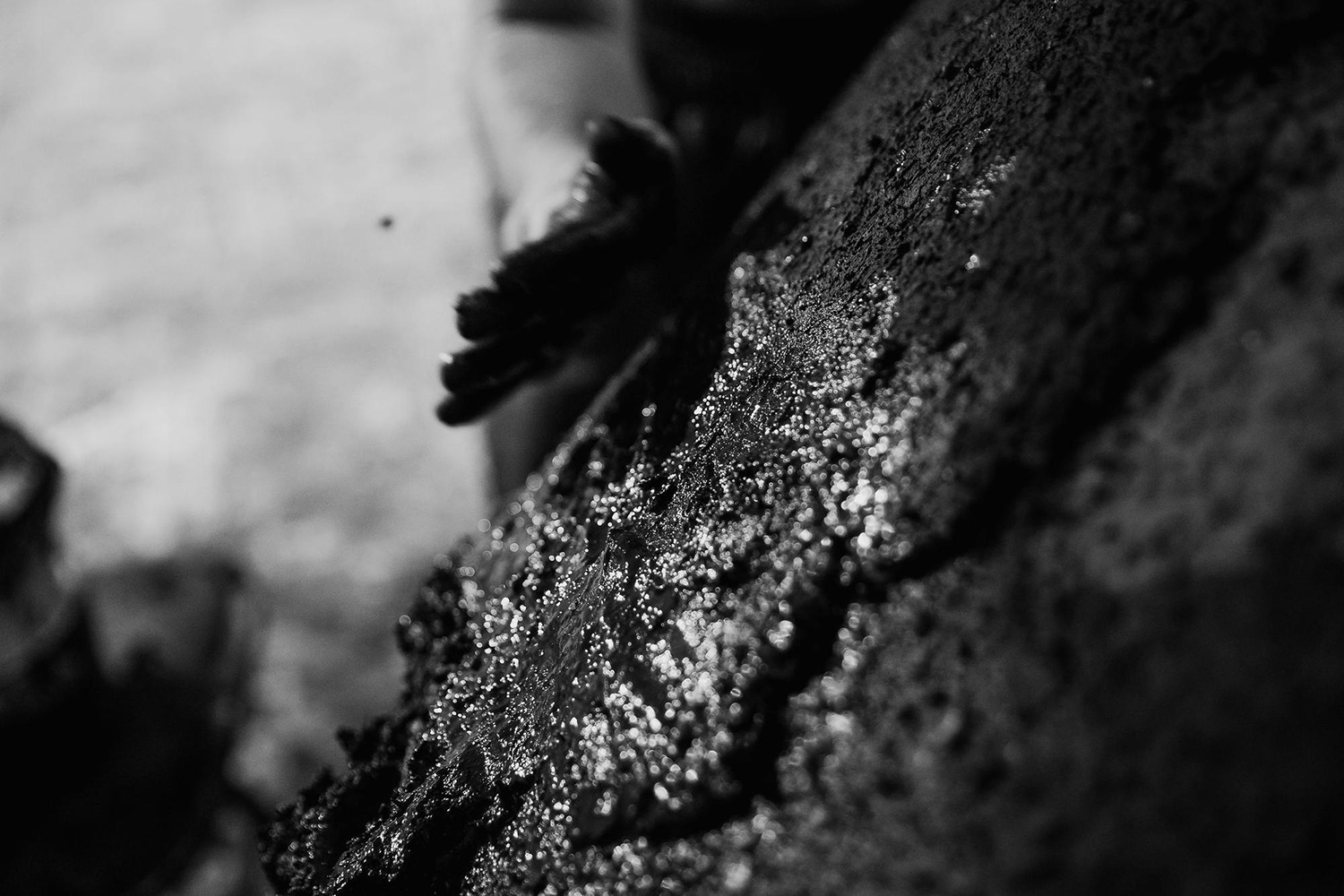 Meridiano 画廊丨墨西哥瓦哈卡丨Axel Vervoordt,Tatsuro Miki-66