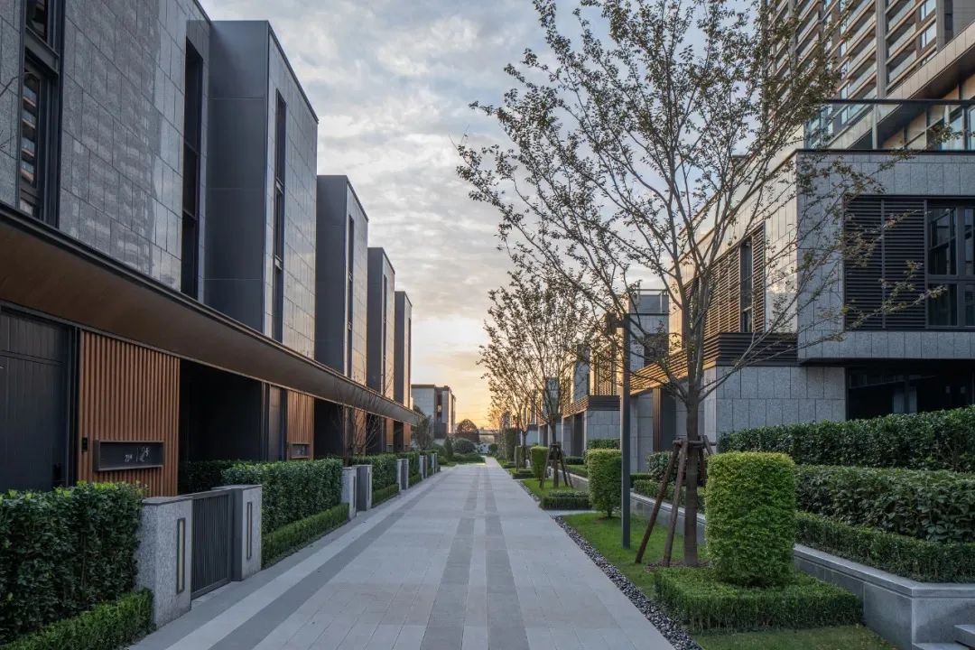 园路列植设计丨上景总工办-51