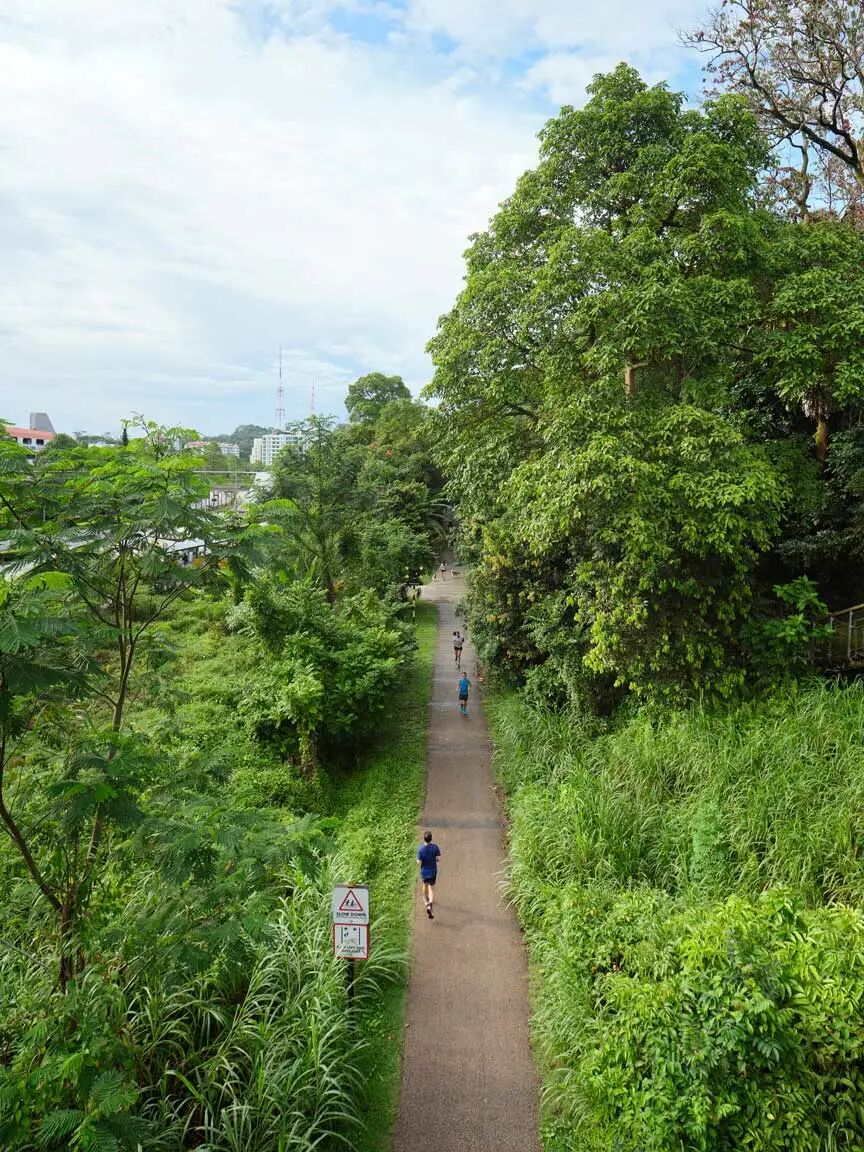 新加坡・铁道走廊丨株式会社日建设计-36