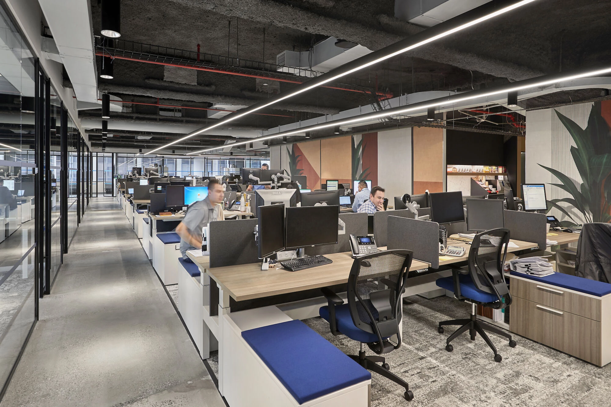 Friedman LLP 纽约总部设计丨美国纽约丨MKDA-8