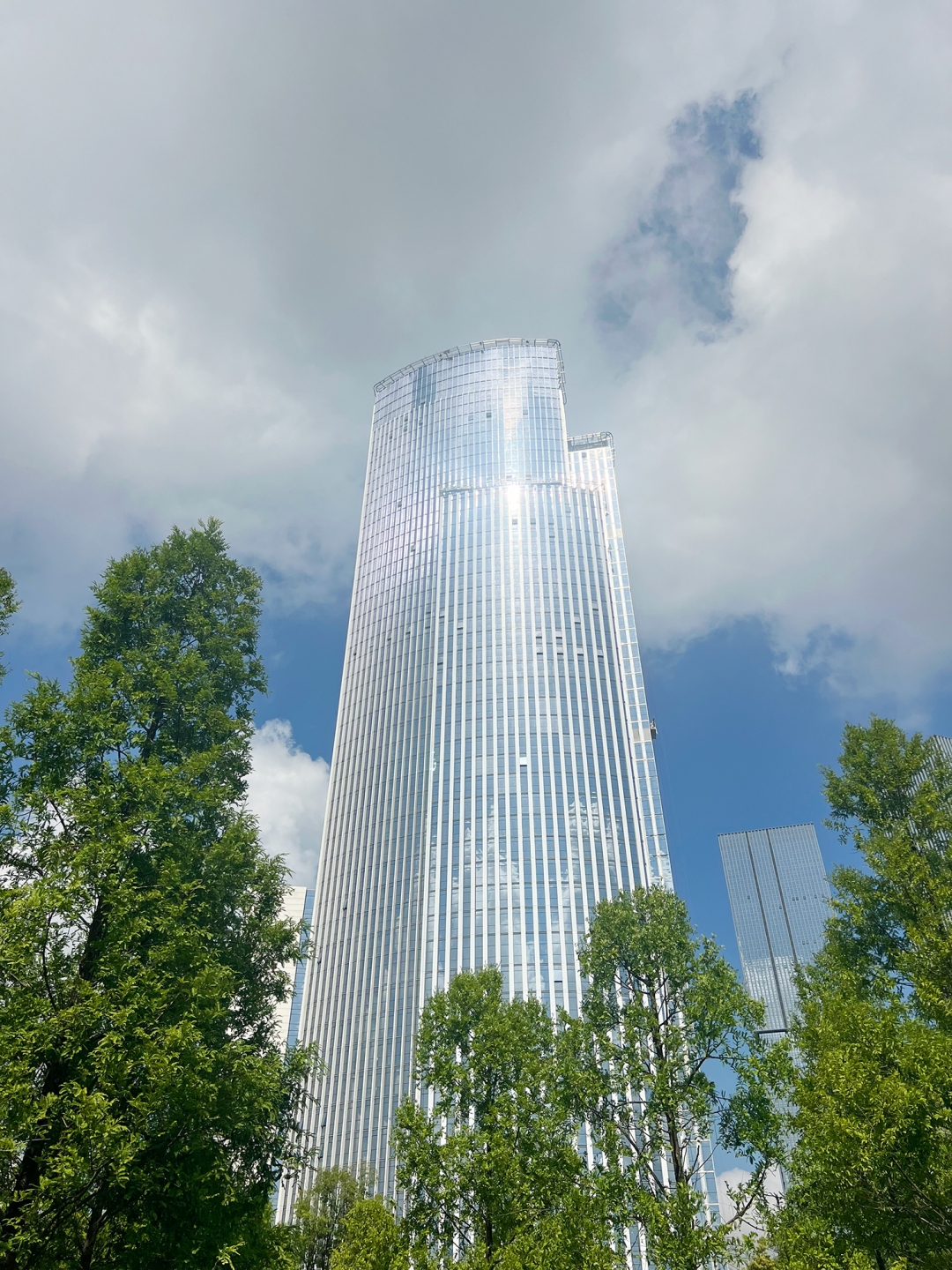 193米！这个超高层项目完成“穿衣”-12