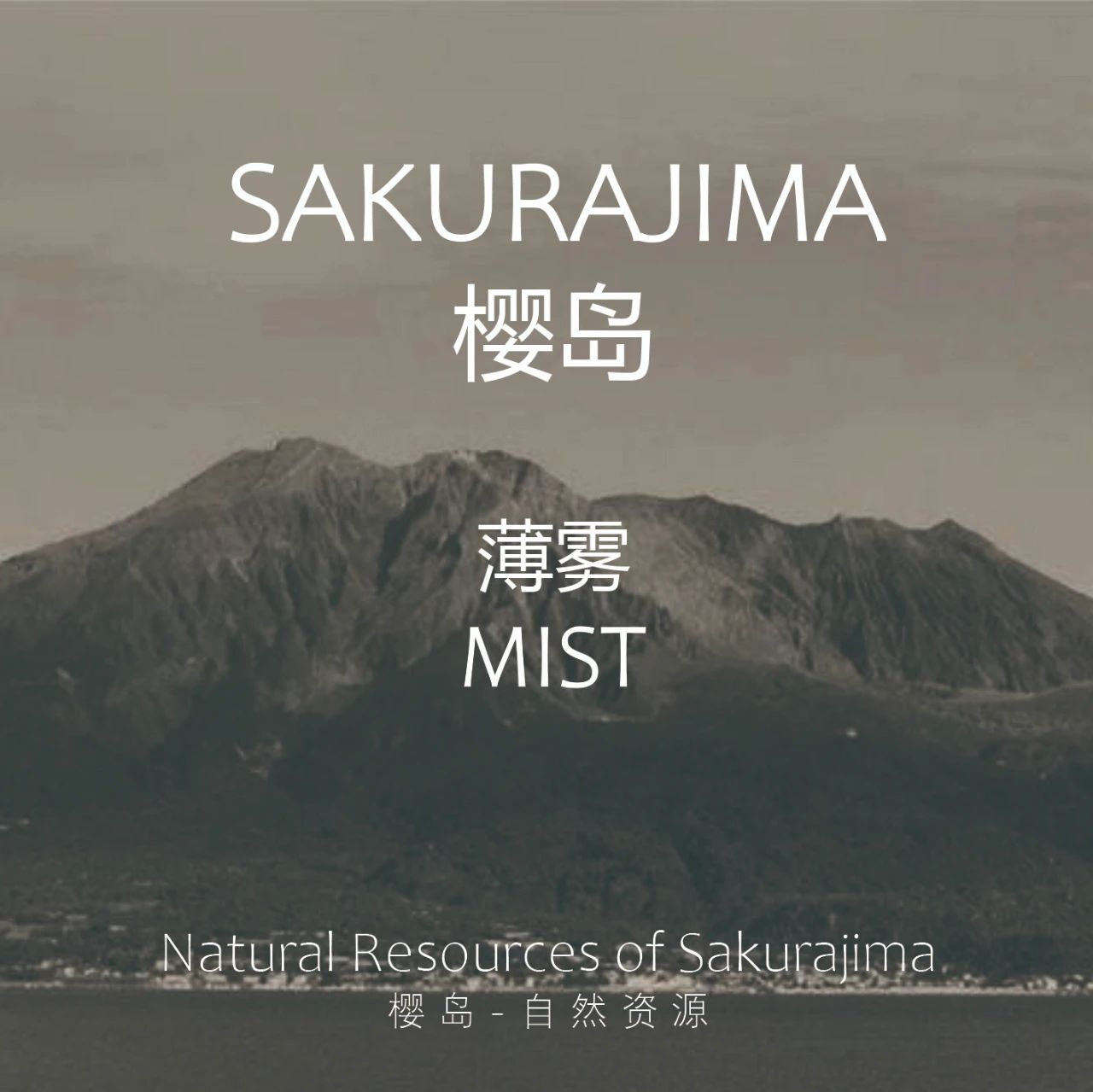 寿司芳SUSHIYOSHI丨中国深圳丨MWC韶康设计-16