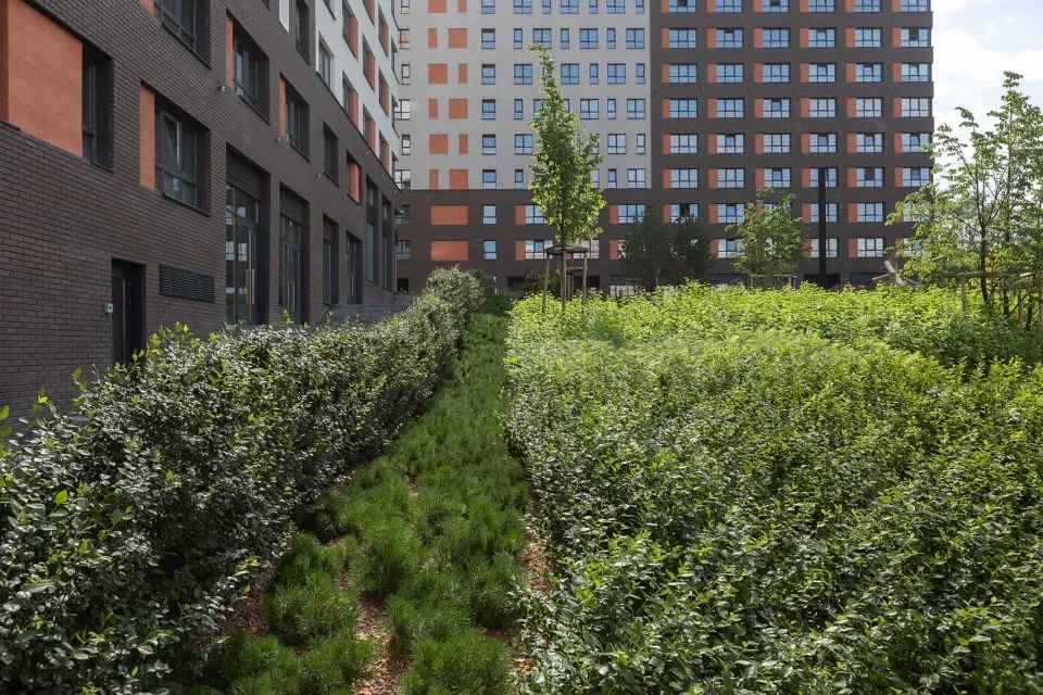 叶卡捷琳堡“人行峡谷”景观设计丨俄罗斯-33