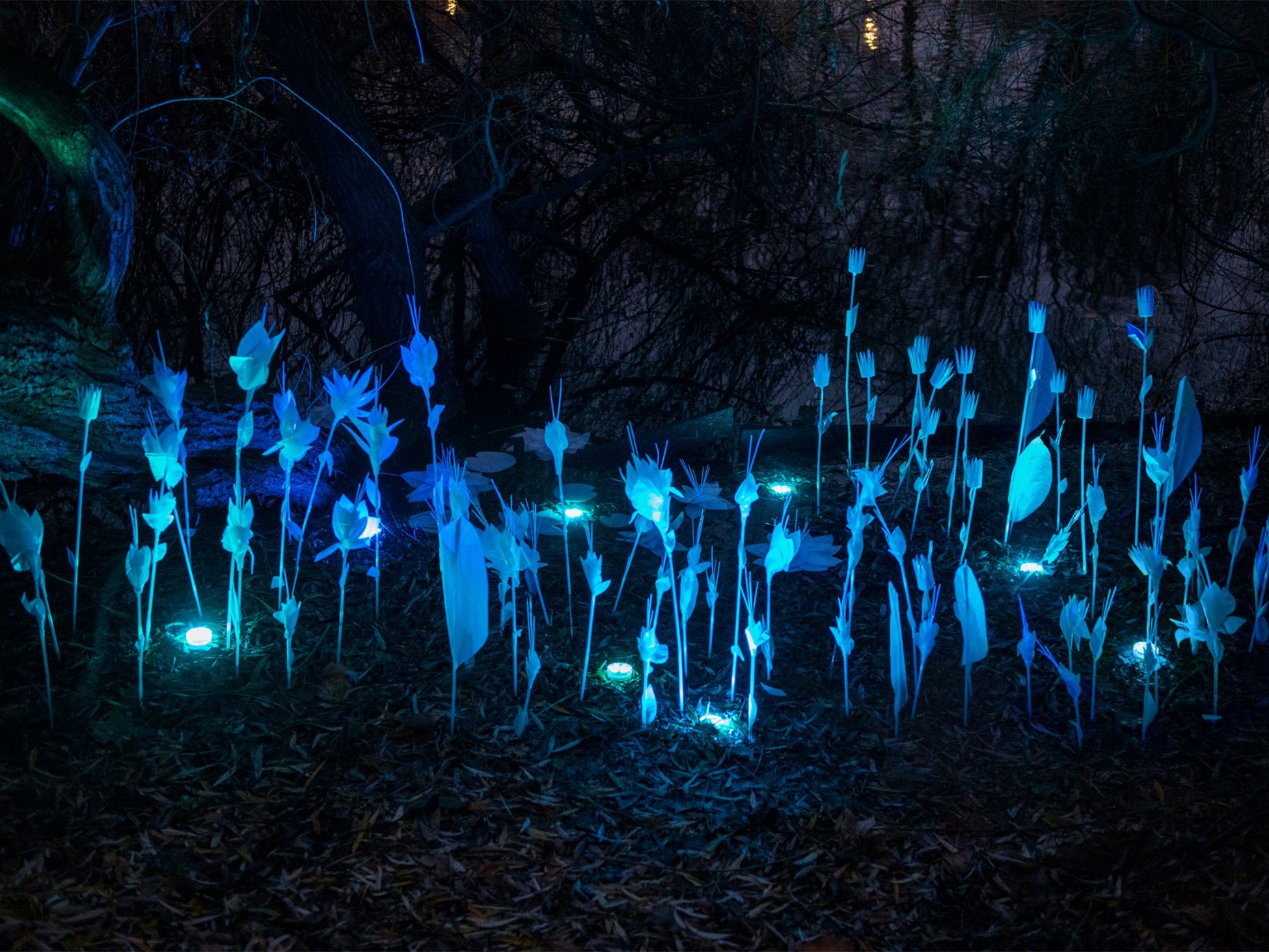 不可回收垃圾制成的植物装置-3