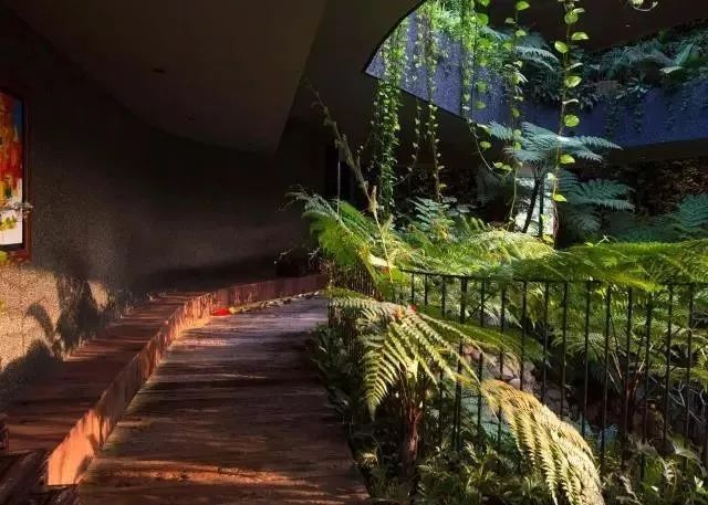 为了孩子，他们专门在城市上方建了一所会呼吸的房子！-63