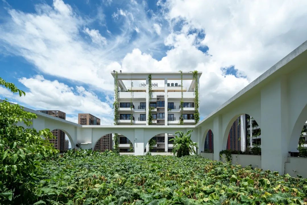 泰华梧桐村丨中国深圳丨奥雅纳-24