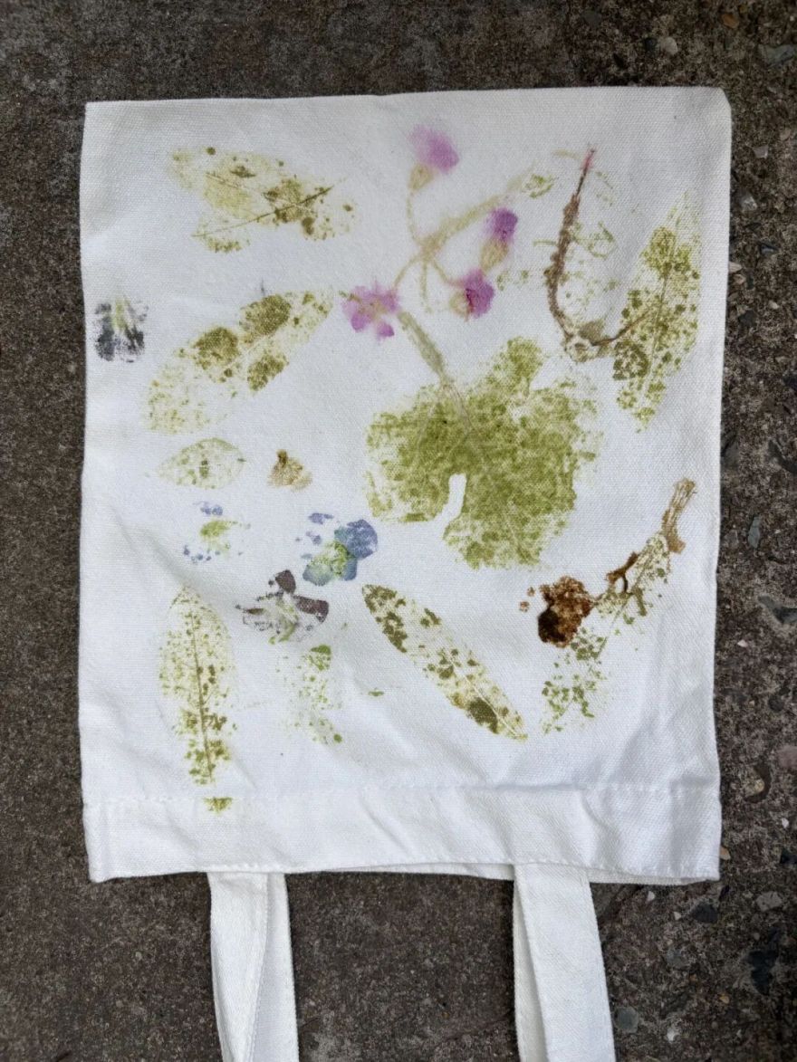 共写番禺自然故事|番禺绿地开放日温馨回顾-66