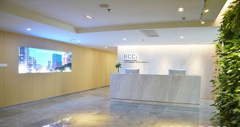 中外建BCCI科技-9