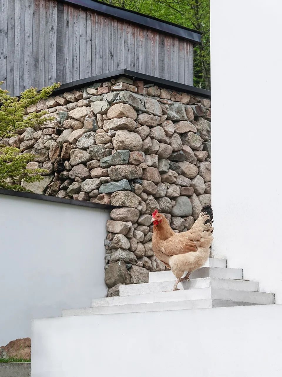 清溪行馆丨中国安庆丨一本造工作室-47