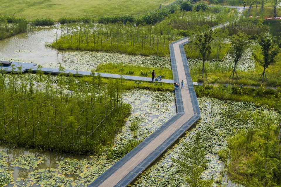 合辑：俞孔坚&土人设计经典项目回顾-105