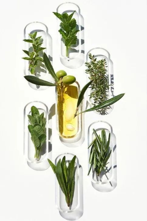 栖居城市绿洲，做一个生活美学家-20