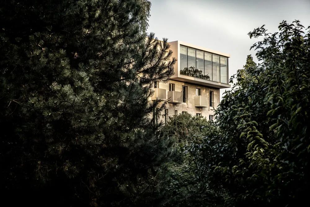 YAPA精品餐厅丨意大利米兰丨Lambs and Lions-286