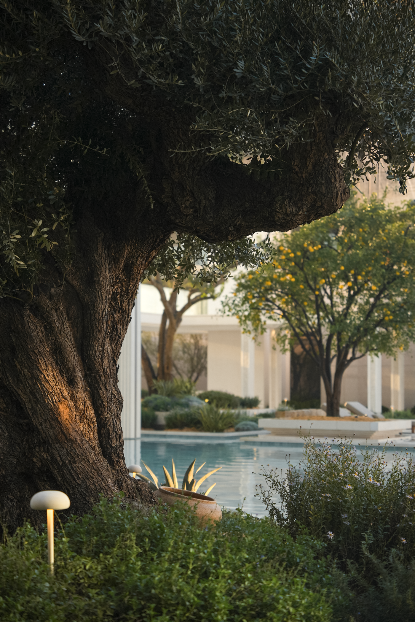 中天海威·璟逸丨中国杭州丨成都麦微景观建筑事务所等多家单位-9