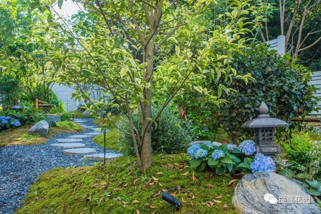 聆湖轩50号别墅花园设计丨中国宁波丨提亚生态科技(浙江)有限公司-46