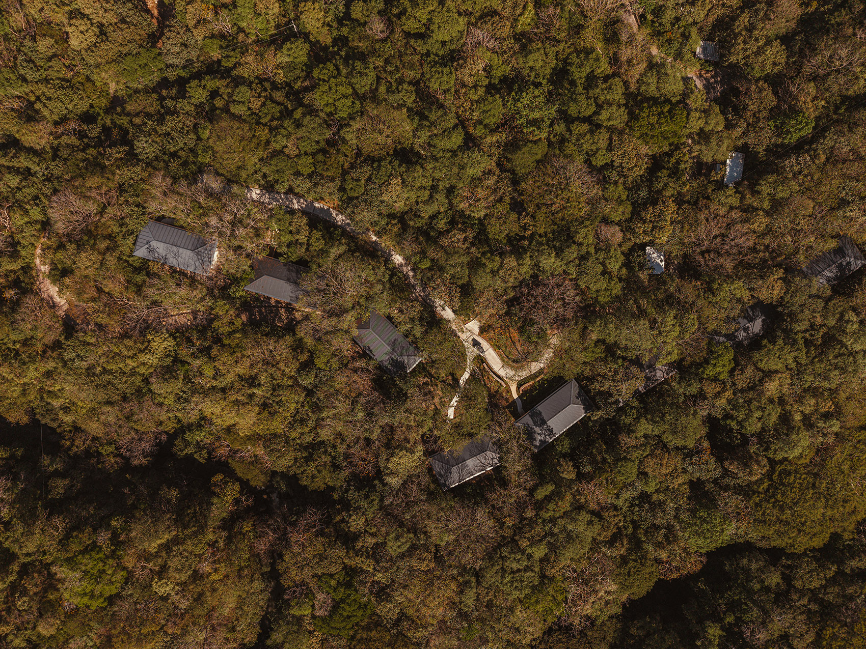 Rio Perdido西侧小屋丨哥斯达黎加丨Studio Saxe(建筑),Dania Saragovia(室内)-89