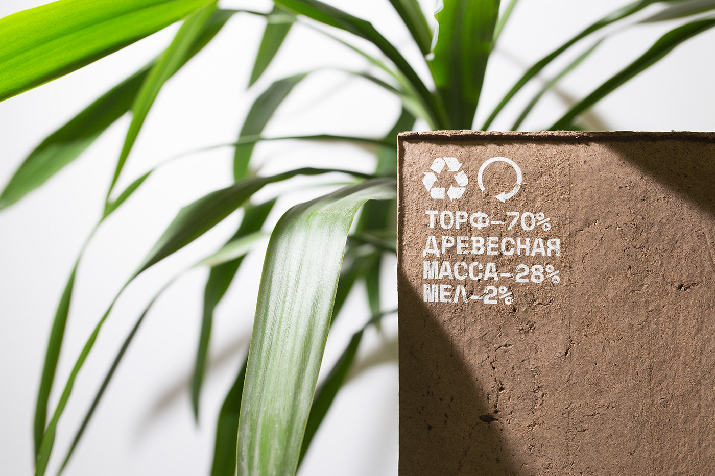 生物环保日历 · 为地球添绿-18