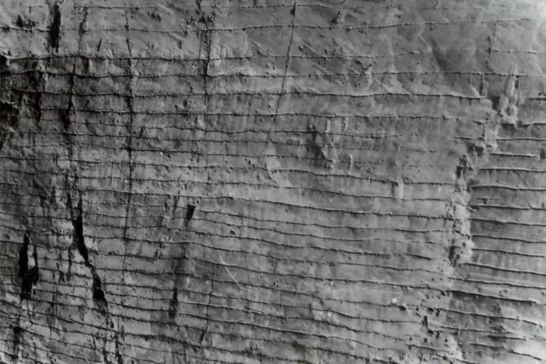 幸运咖LUCKY CUP全球旗舰店丨中国郑州丨未提及明确设计公司,主持建筑师姚清轩等-14