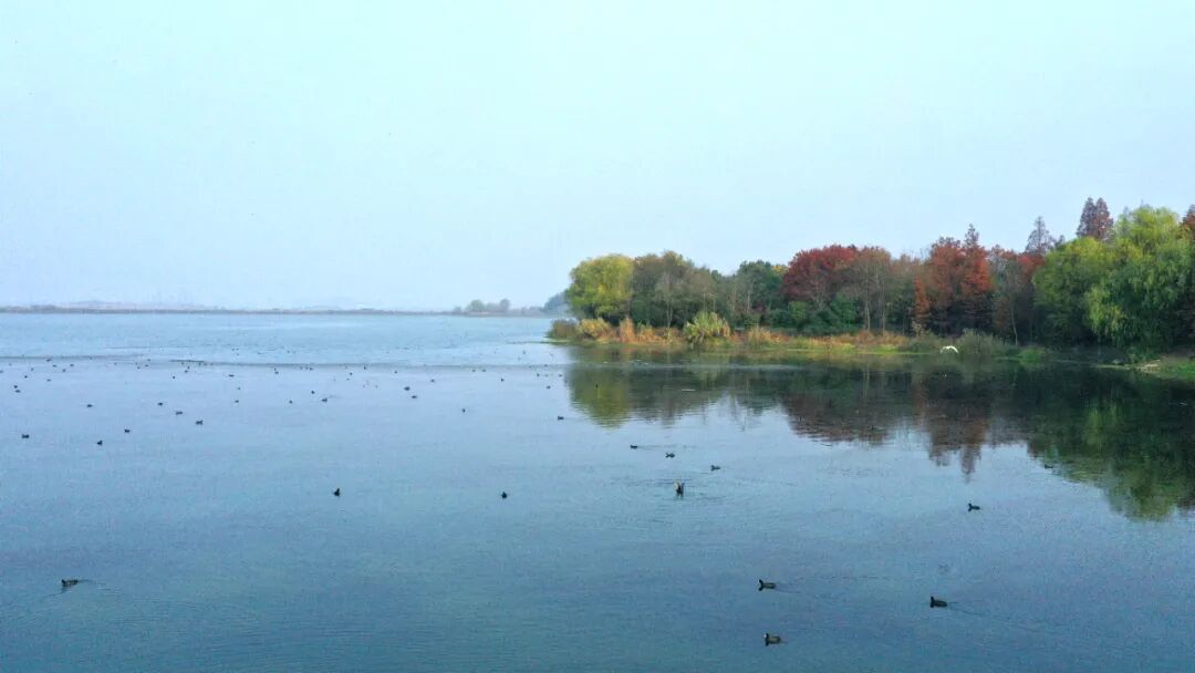 阿里巴巴南湖未来科学园丨中国杭州丨阿普贝思UP+S-11