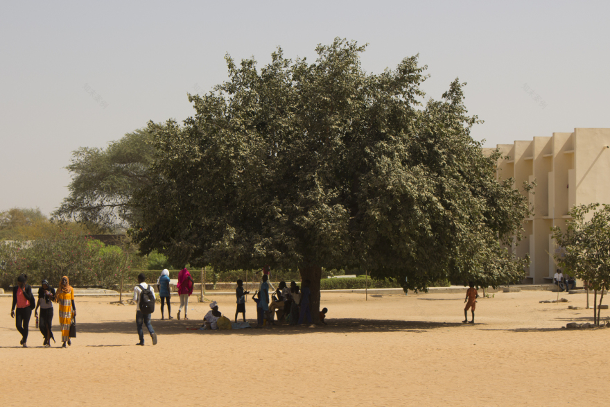 Lecture Building at the Alioune Diop University IDOM-64