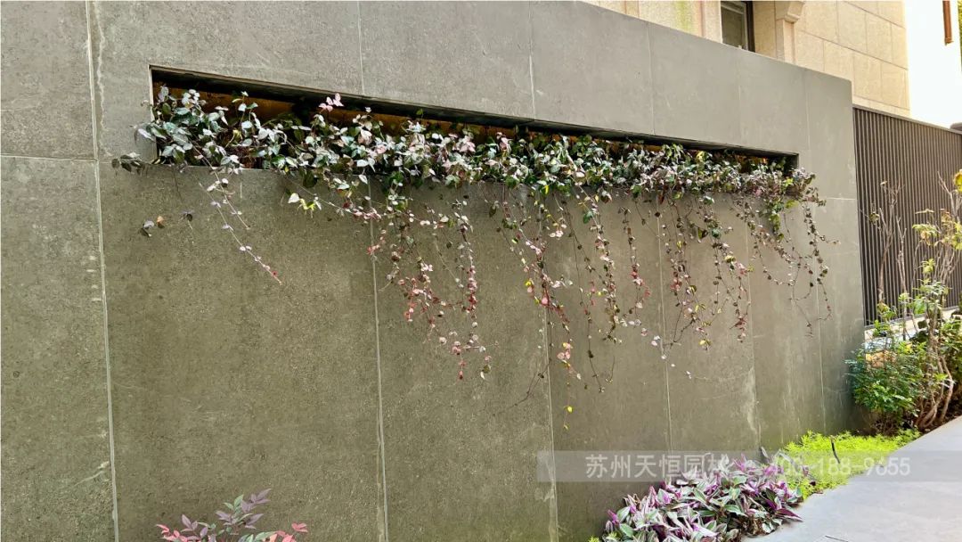 天恒园林｜名流御园-49