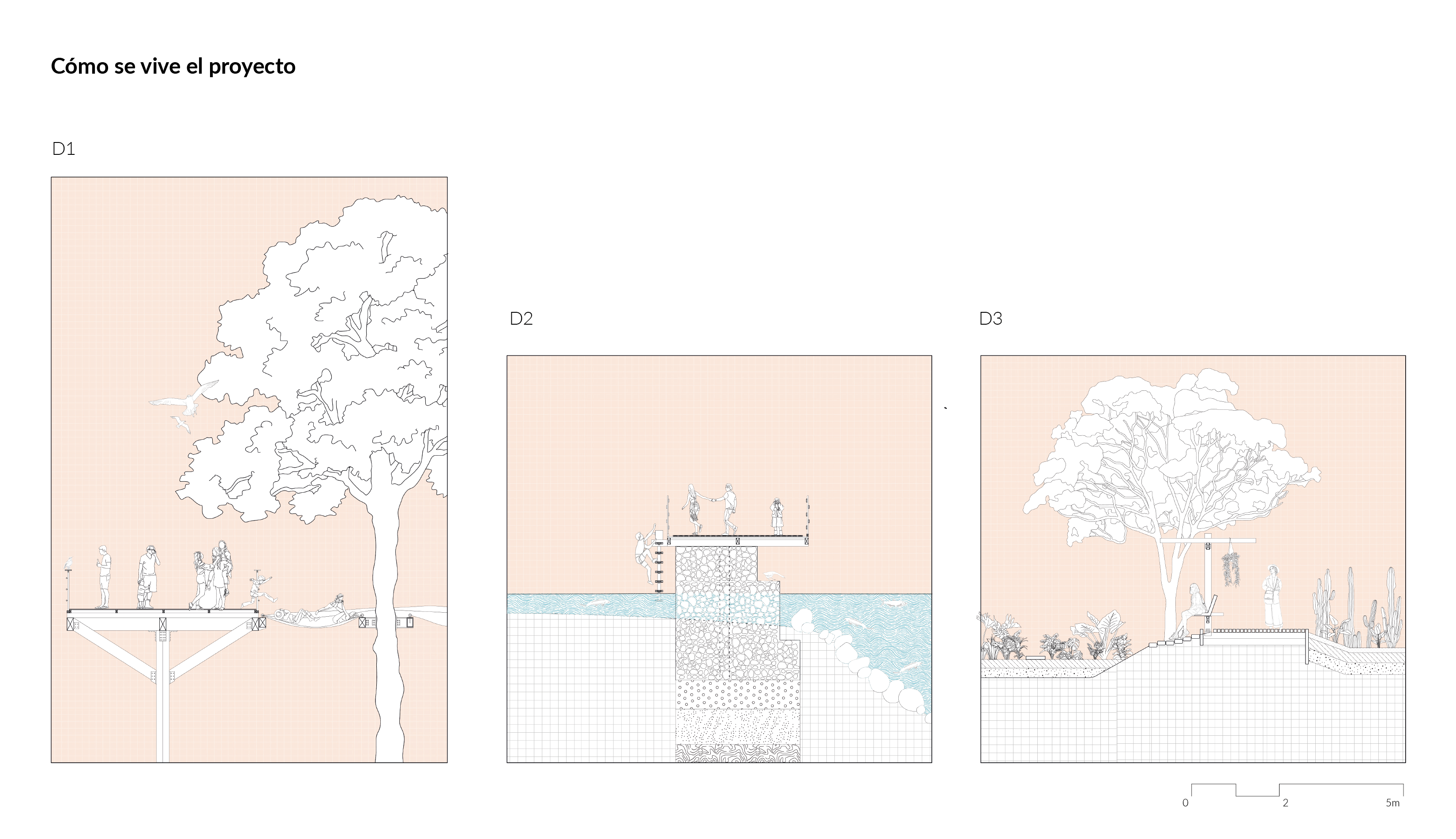 Honda: un ecotono en sinfonía-9