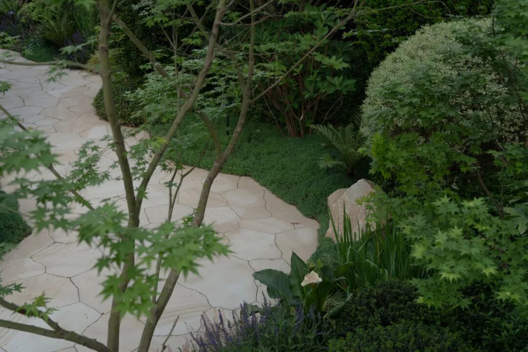 城市山丘|瑞安·武汉天地云逸-51