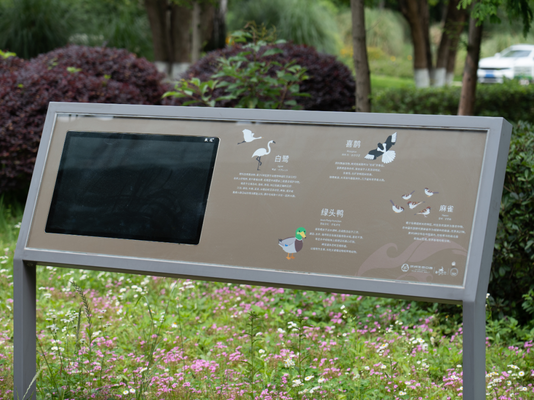 白鹭湾湿地公园自然探索基地丨中国成都丨上海柏熙标识有限公司-19