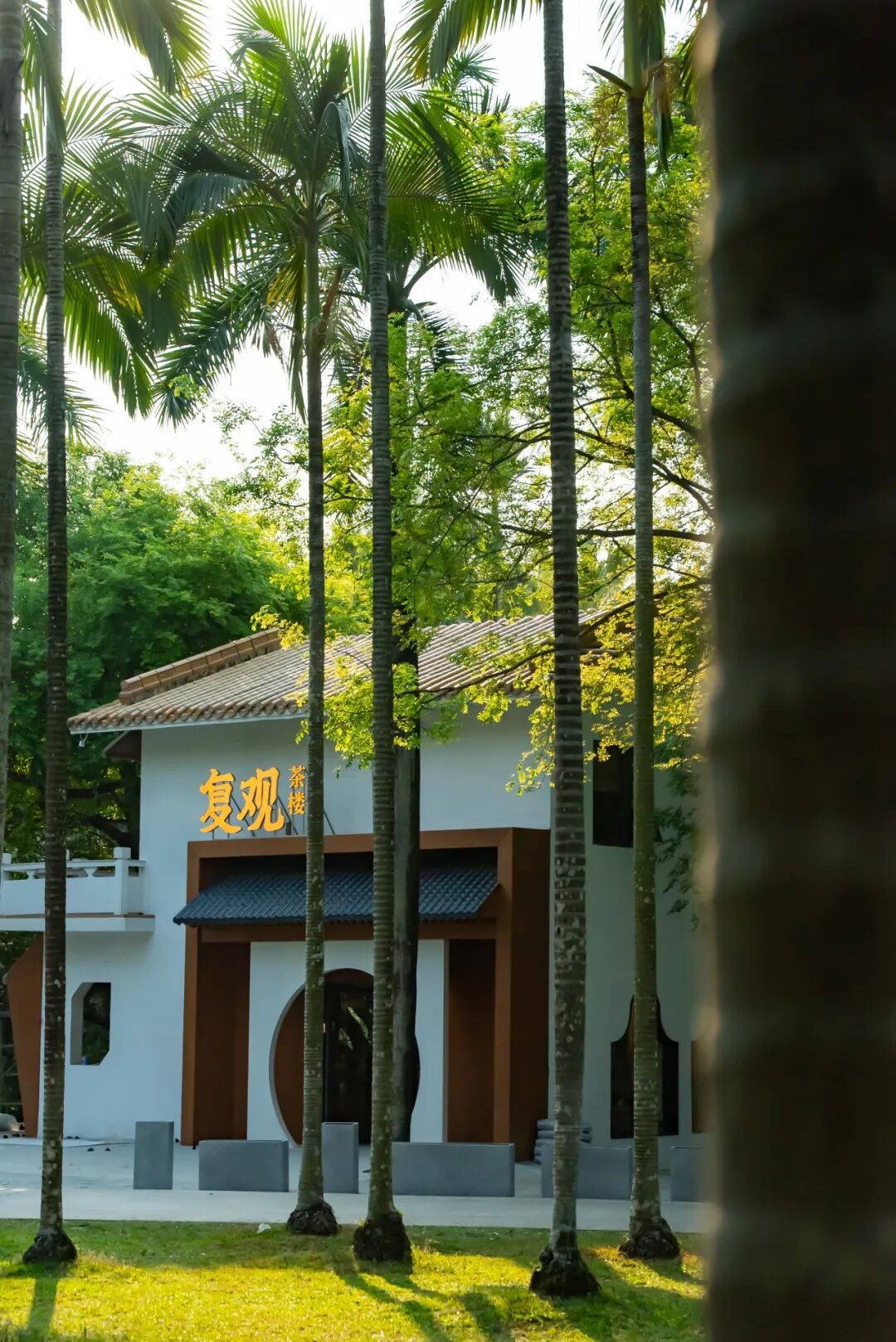 “五一”趣玩｜闲来无事，到荔枝公园喝茶去～-20