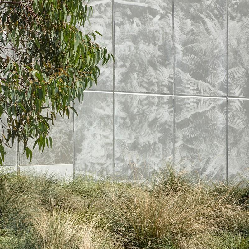 悉尼达令港公共空间丨澳大利亚悉尼丨HASSELL-54