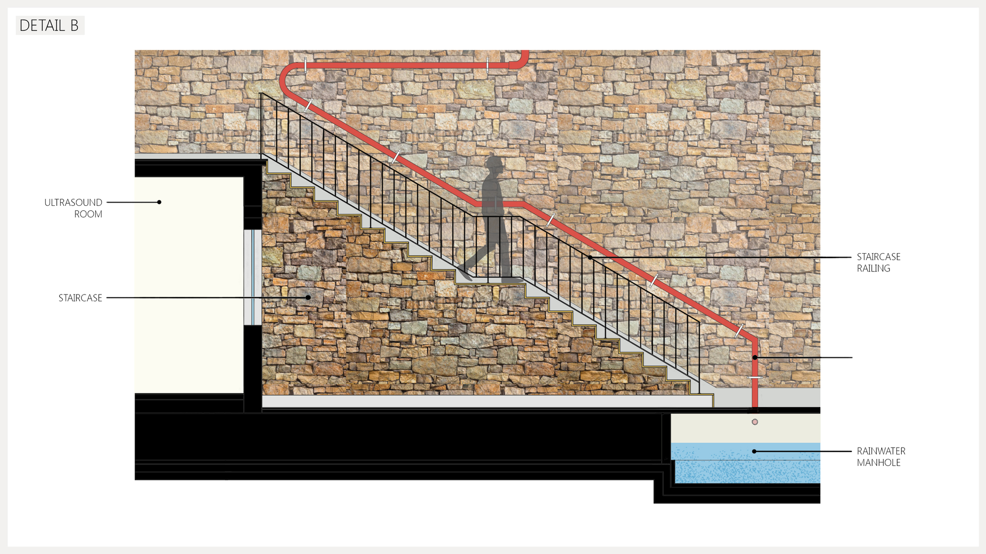 人树屋丨印度丨Archiopteryx-54