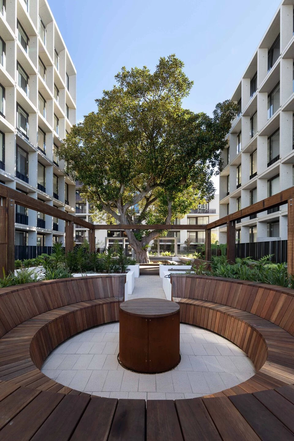 悉尼 Figtree Pocket 公寓丨澳大利亚新南威尔士丨Smart Design Studio-15