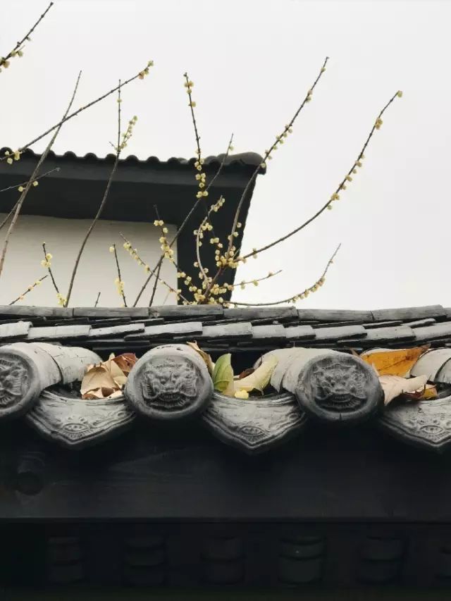 Color Case/90后帅小伙儿仅花3千爆改出租屋后-55