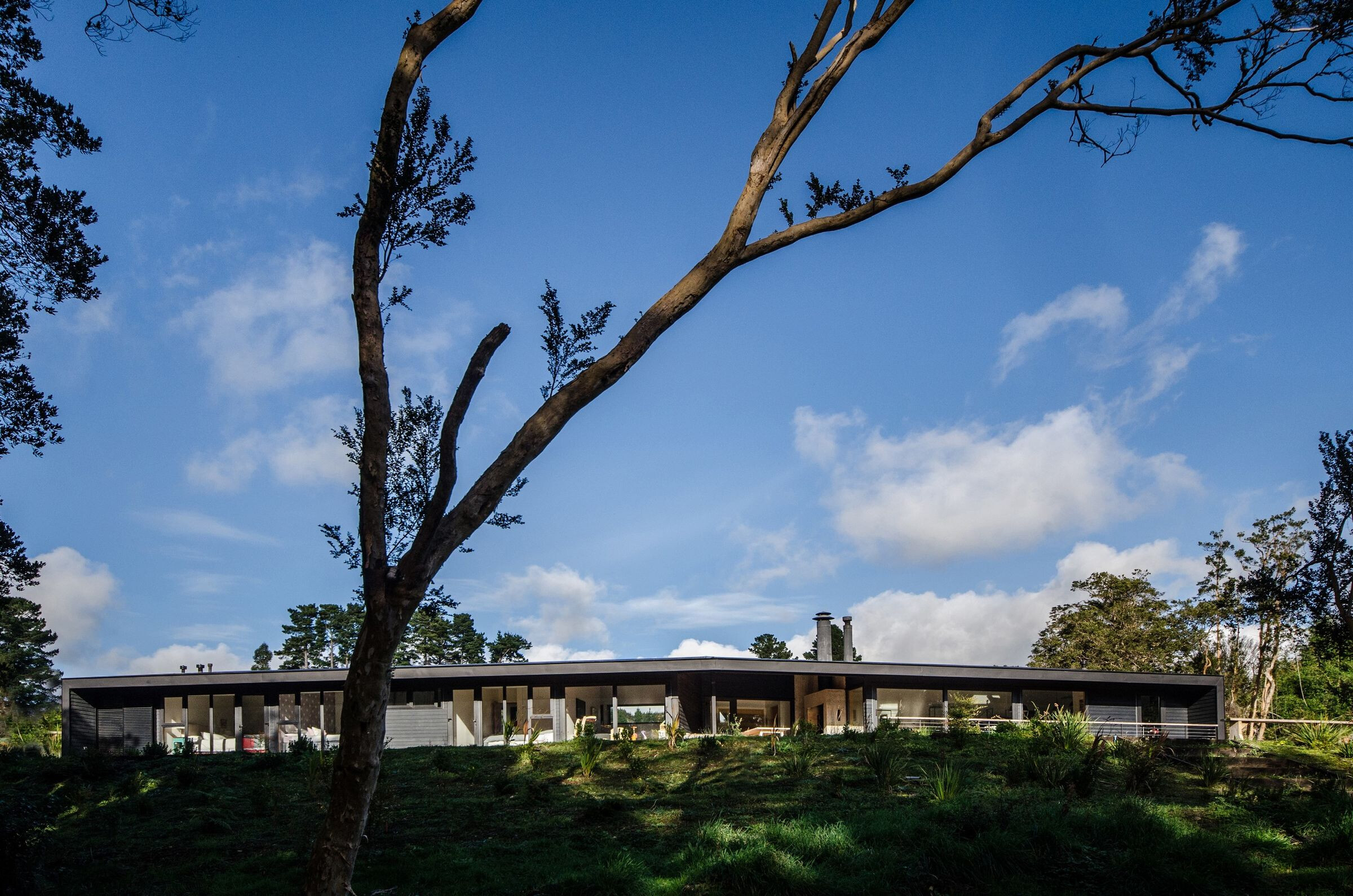 智利森林中的悬浮之家-24
