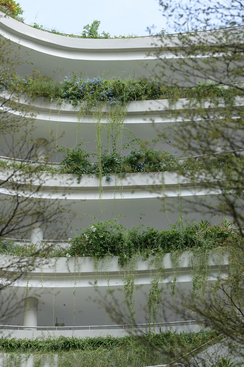 深圳无界花园丨中国深圳丨大小景观-59