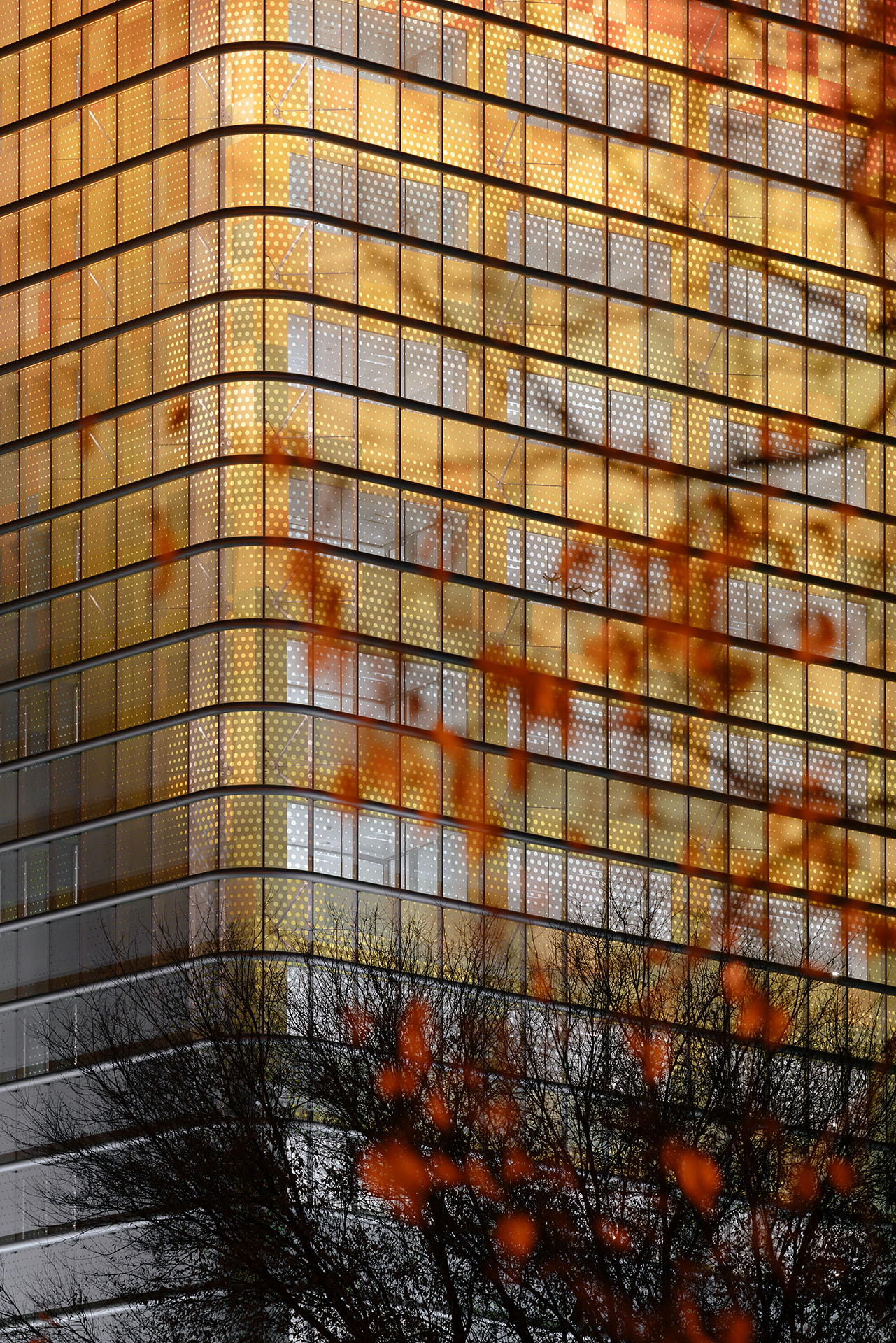 塔 30 办公空间设计-0