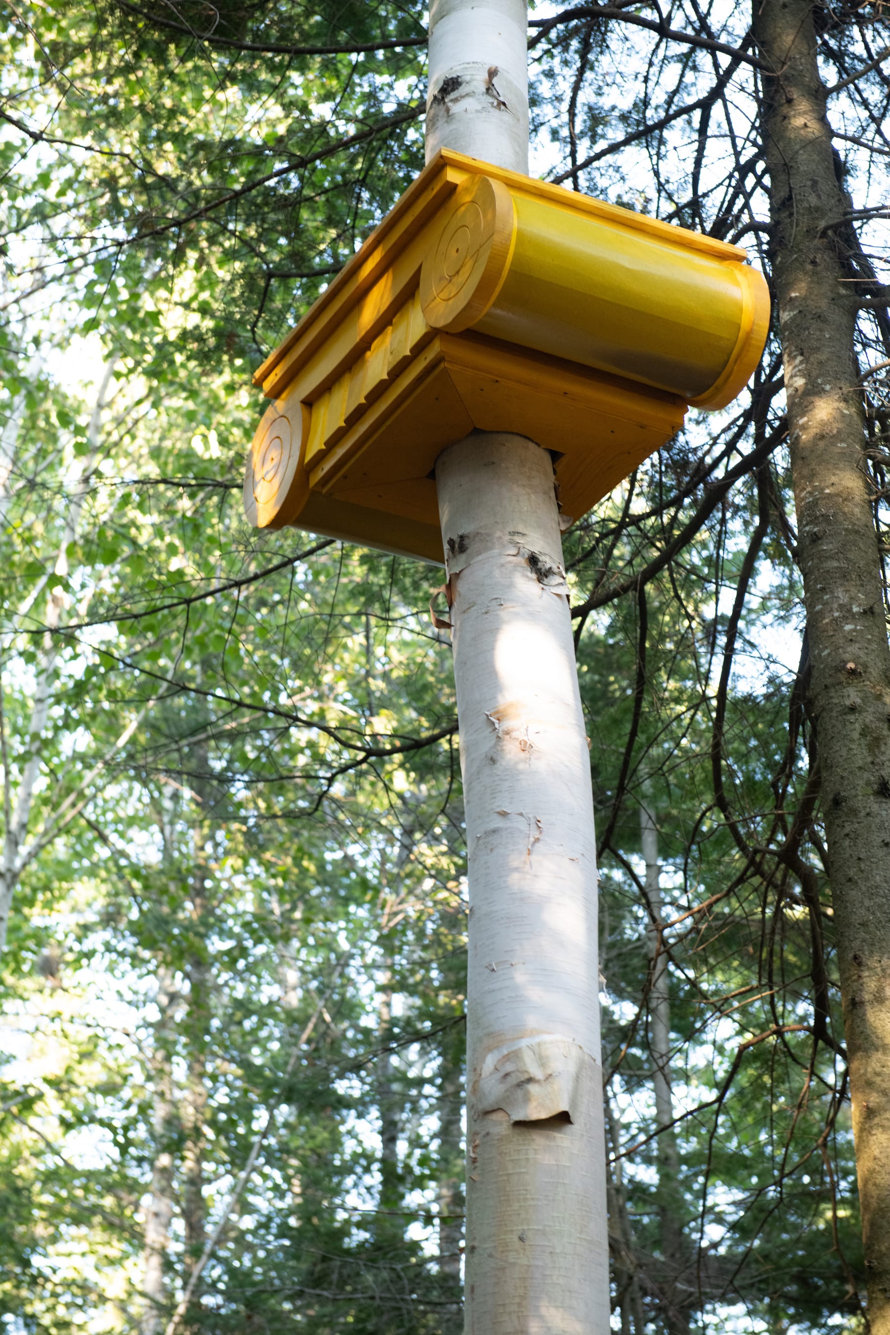 2019加拿大国际花园节(第二部分),Reford Gardens-78